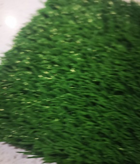 高爾夫球場(chǎng)用草